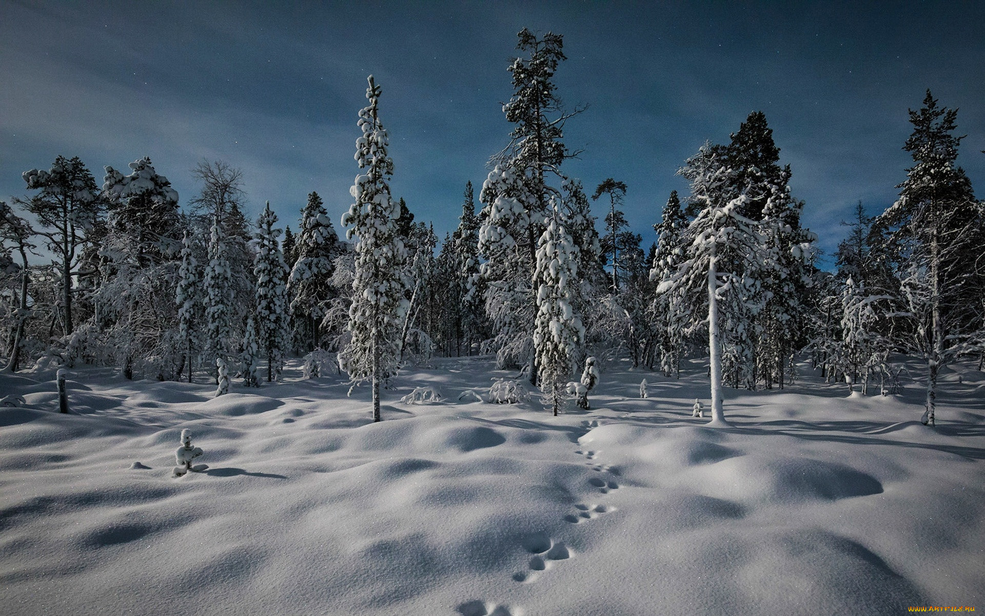 , , riutula, lapland, finland, 